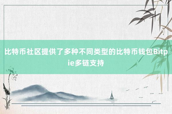 比特币社区提供了多种不同类型的比特币钱包Bitpie多链支持