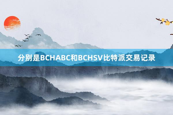 分别是BCHABC和BCHSV比特派交易记录