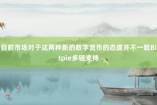 目前市场对于这两种新的数字货币的态度并不一致Bitpie多链支持