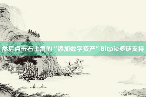 然后点击右上角的“添加数字资产”Bitpie多链支持