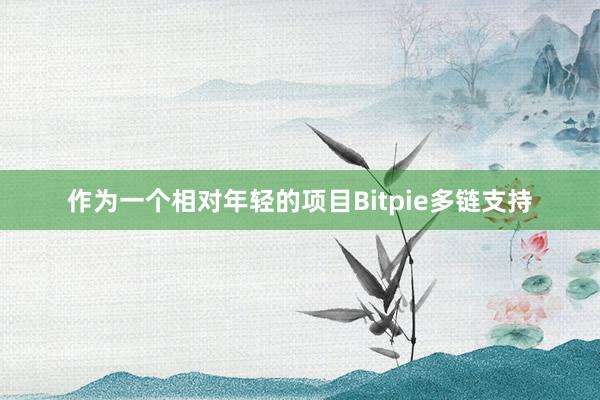 作为一个相对年轻的项目Bitpie多链支持