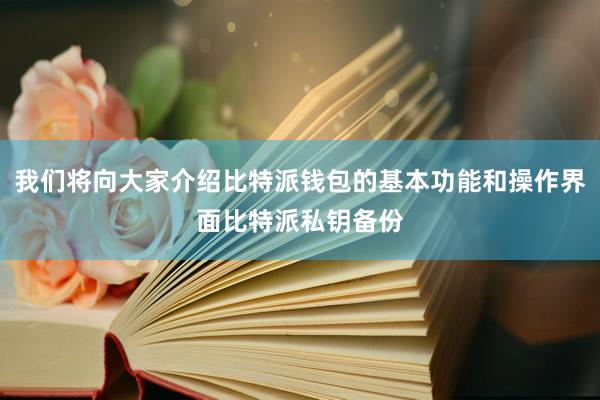 我们将向大家介绍比特派钱包的基本功能和操作界面比特派私钥备份