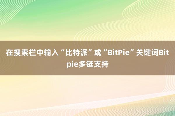 在搜索栏中输入“比特派”或“BitPie”关键词Bitpie多链支持