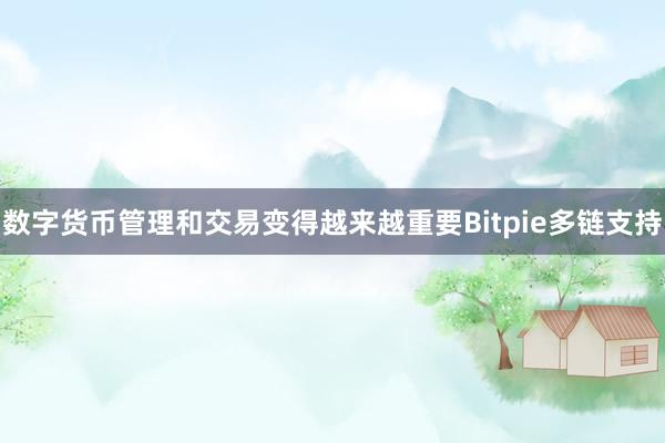 数字货币管理和交易变得越来越重要Bitpie多链支持