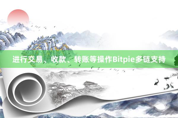 进行交易、收款、转账等操作Bitpie多链支持