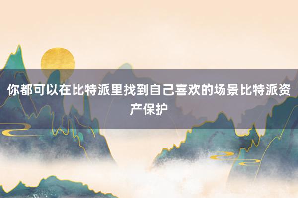 你都可以在比特派里找到自己喜欢的场景比特派资产保护