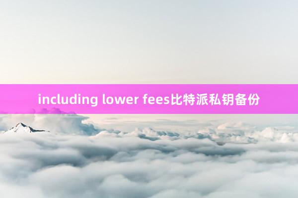 including lower fees比特派私钥备份