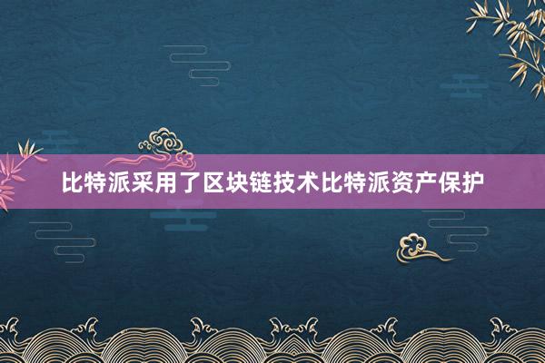 比特派采用了区块链技术比特派资产保护