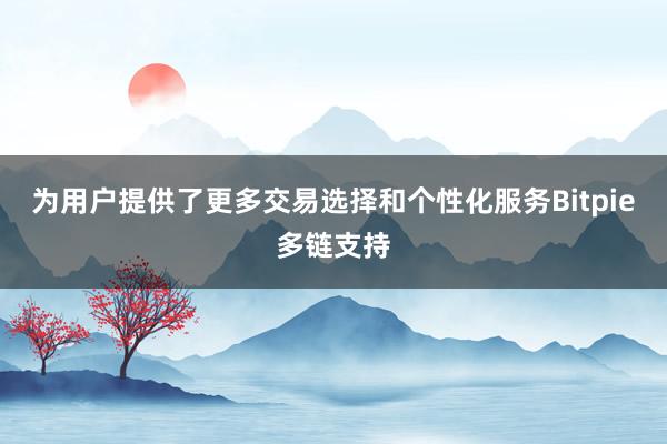 为用户提供了更多交易选择和个性化服务Bitpie多链支持