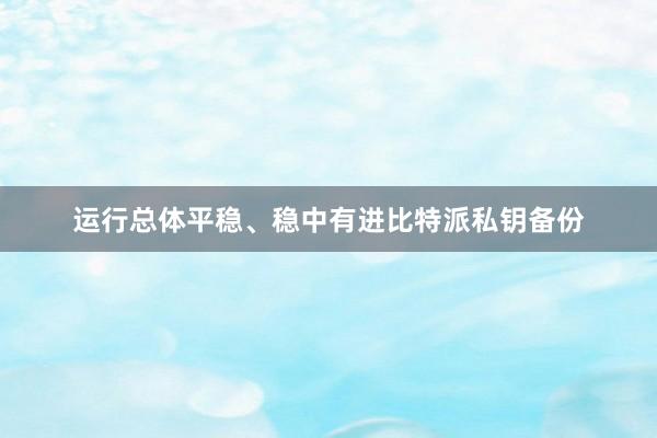 运行总体平稳、稳中有进比特派私钥备份