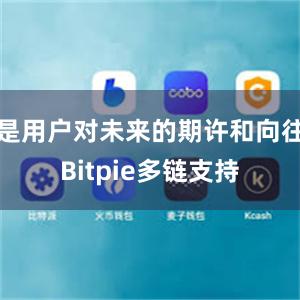 是用户对未来的期许和向往Bitpie多链支持