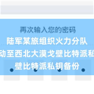 陆军某旅组织火力分队千里机动至西北大漠戈壁比特派私钥备份