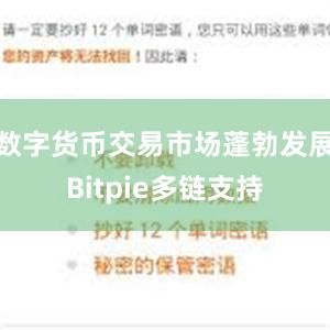 数字货币交易市场蓬勃发展Bitpie多链支持